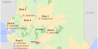 Institut kenyan de l'arpentage et de la cartographie des cours d'