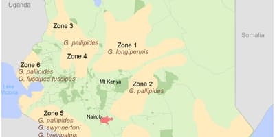 Institut kenyan de l'arpentage et de la cartographie des cours d'